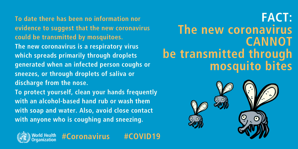 Fact: The new coronavirus CANNOT be transmitted through mosquito bites